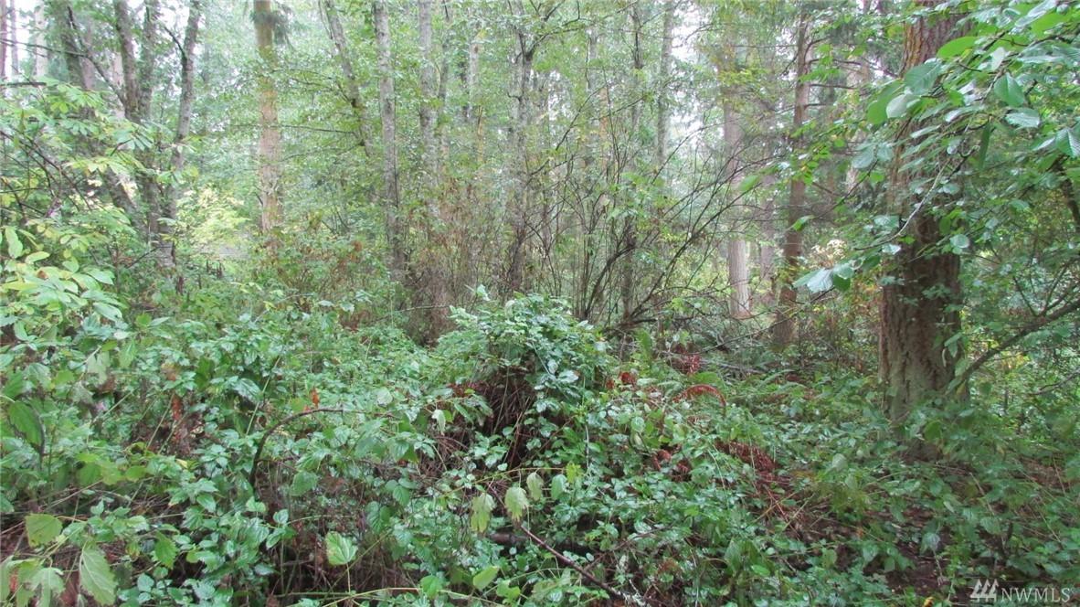 28 Buckhorn Place - Photo 1