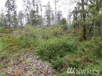 0-NHN Moraine Lane - Photo 1