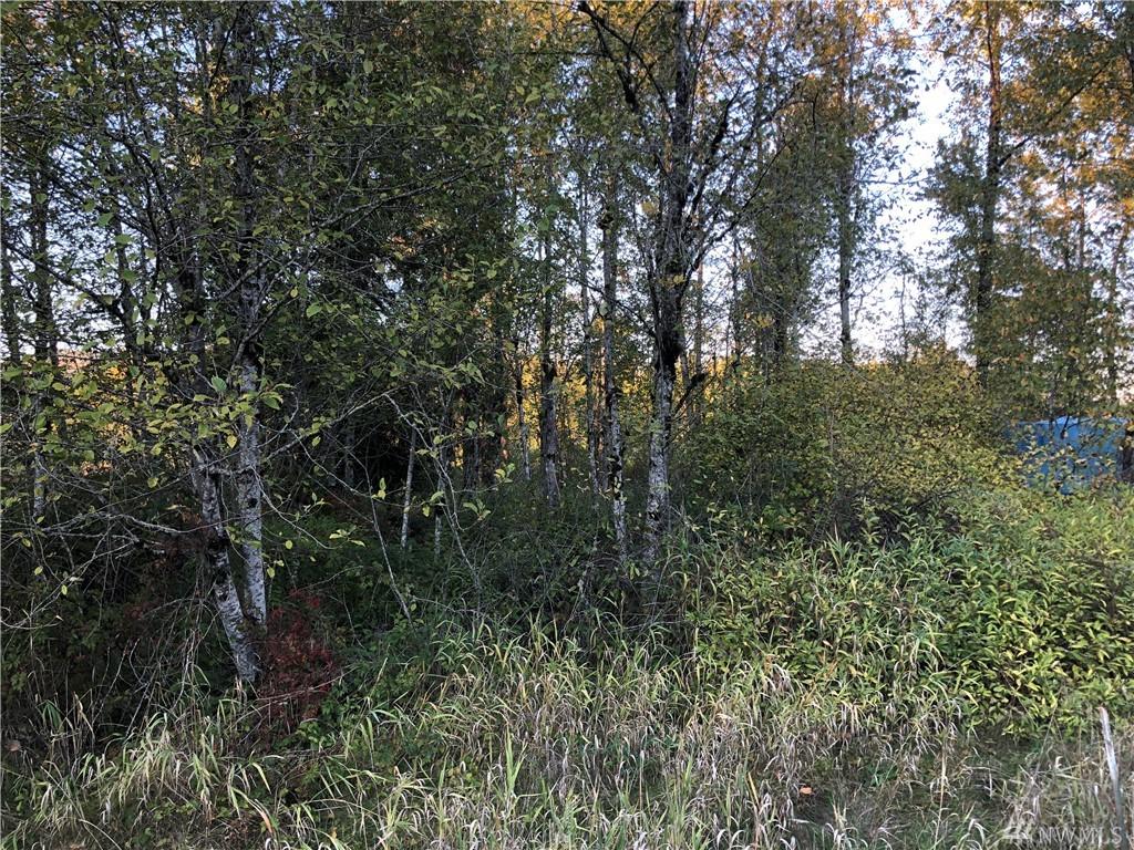 0 Toutle - Photo 1