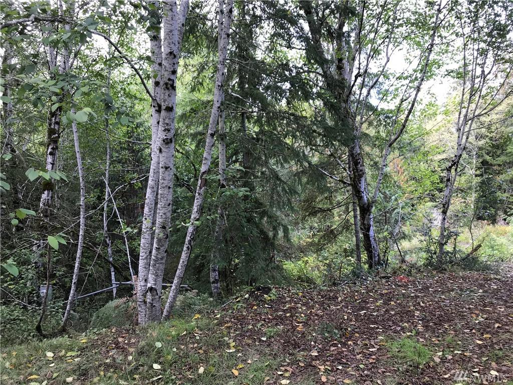 430 Probert Rd - Photo 1
