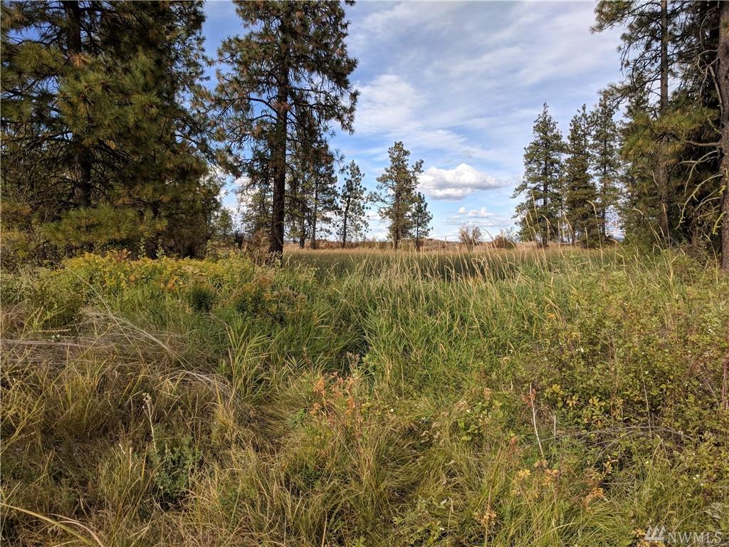 0-473 acre Mill Rd - Photo 1