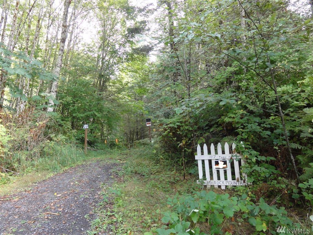 0-0 Toby Mine Rd - Photo 1