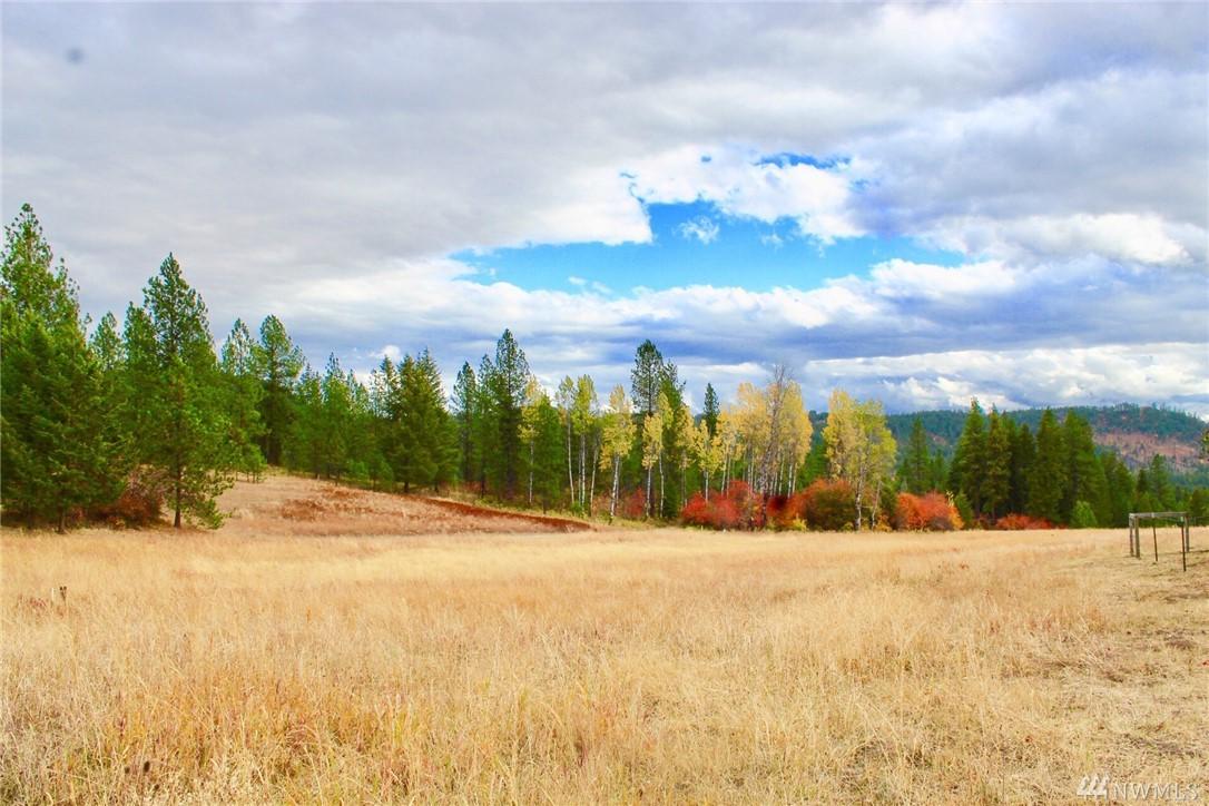 2034 A Dry Creek Rd - Photo 1