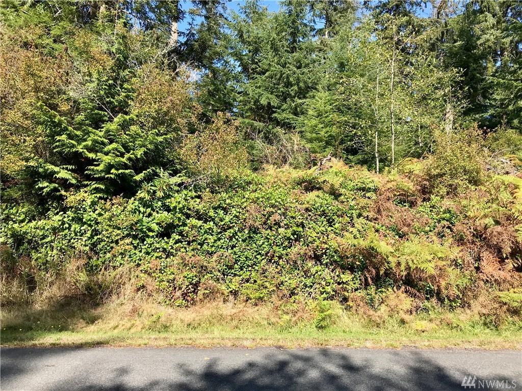 0 Lot 36 Sycamore Rd - Photo 1