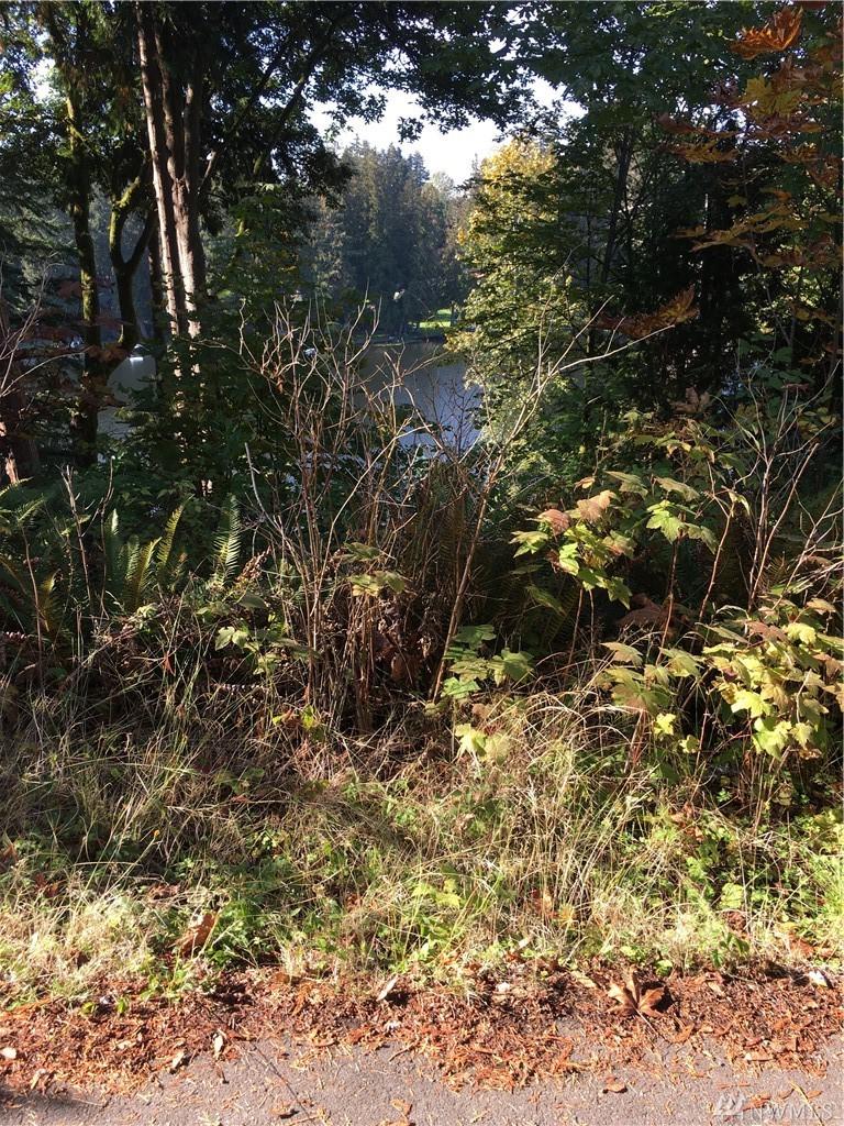 0 Xxxx 200th Ave - Photo 1