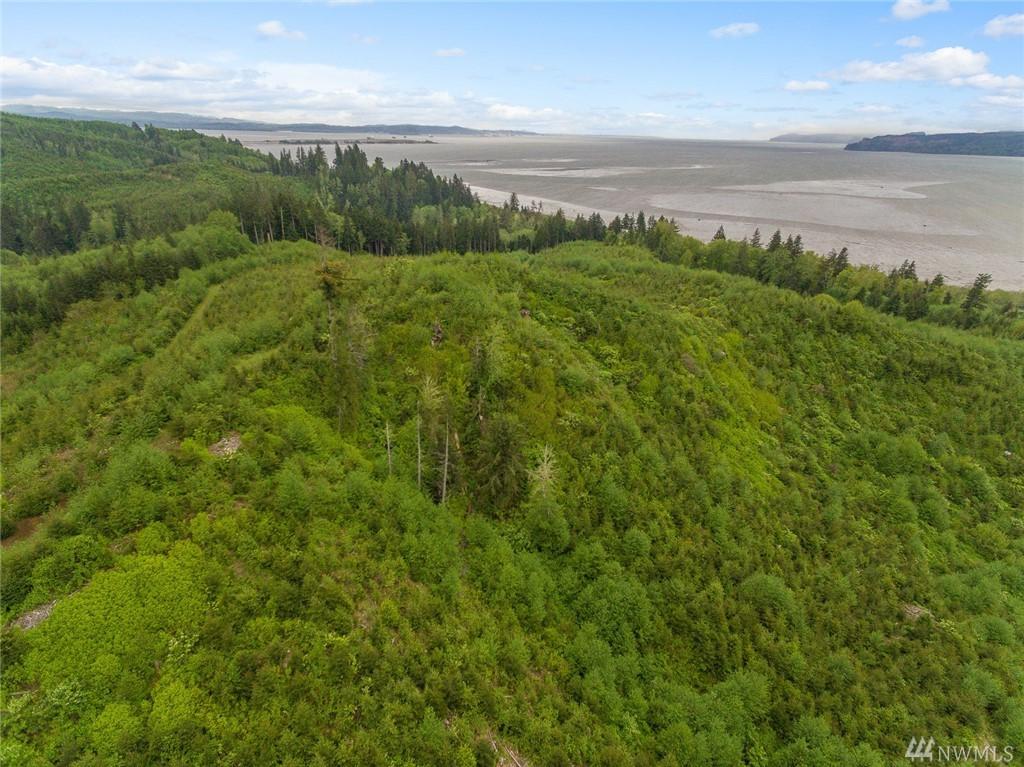 0 Altoona Pillar Rock Rd - Photo 1