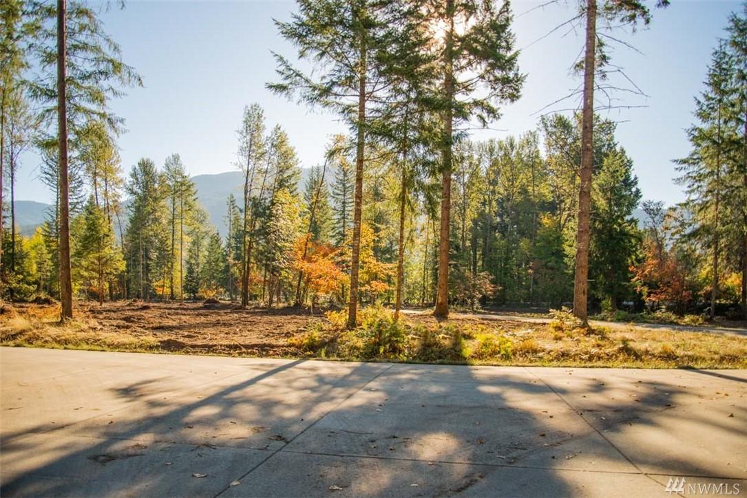 113 Bugle Lane - Photo 1