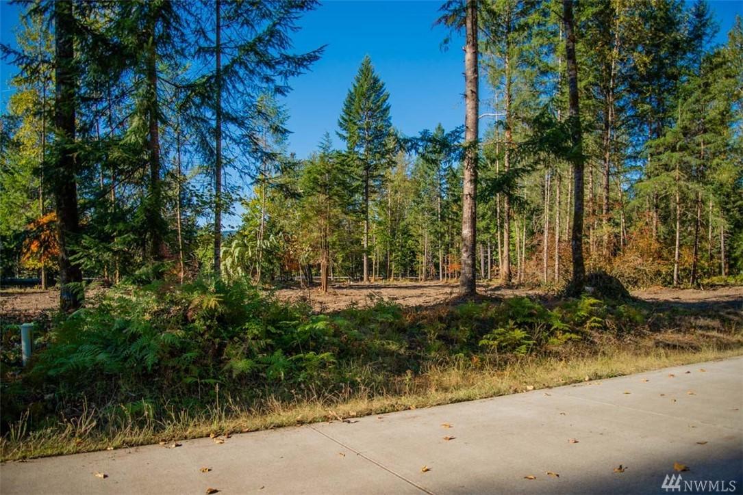 141 Bugle Lane - Photo 1