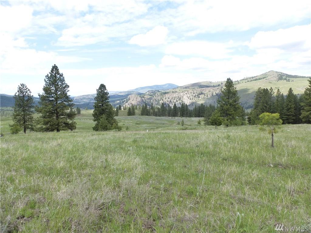 78 Chopaka Wy - Photo 1