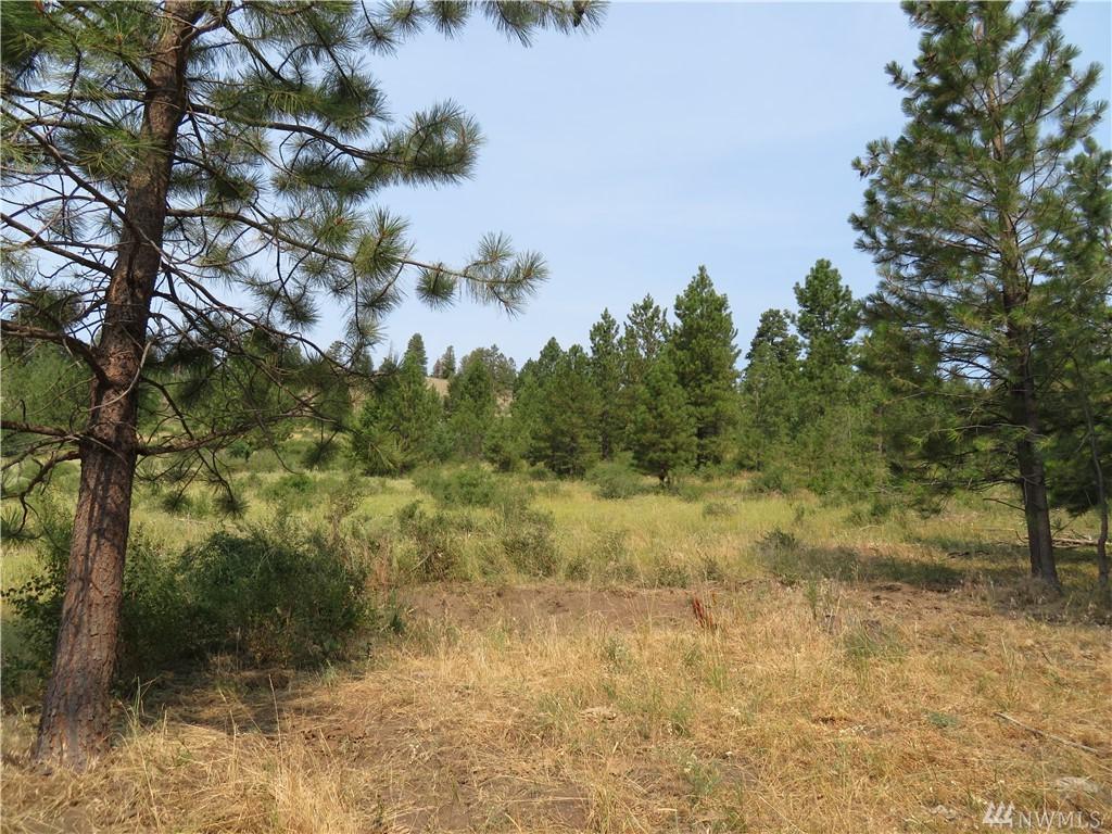 0-East hal Iron Mt. Rd - Photo 1