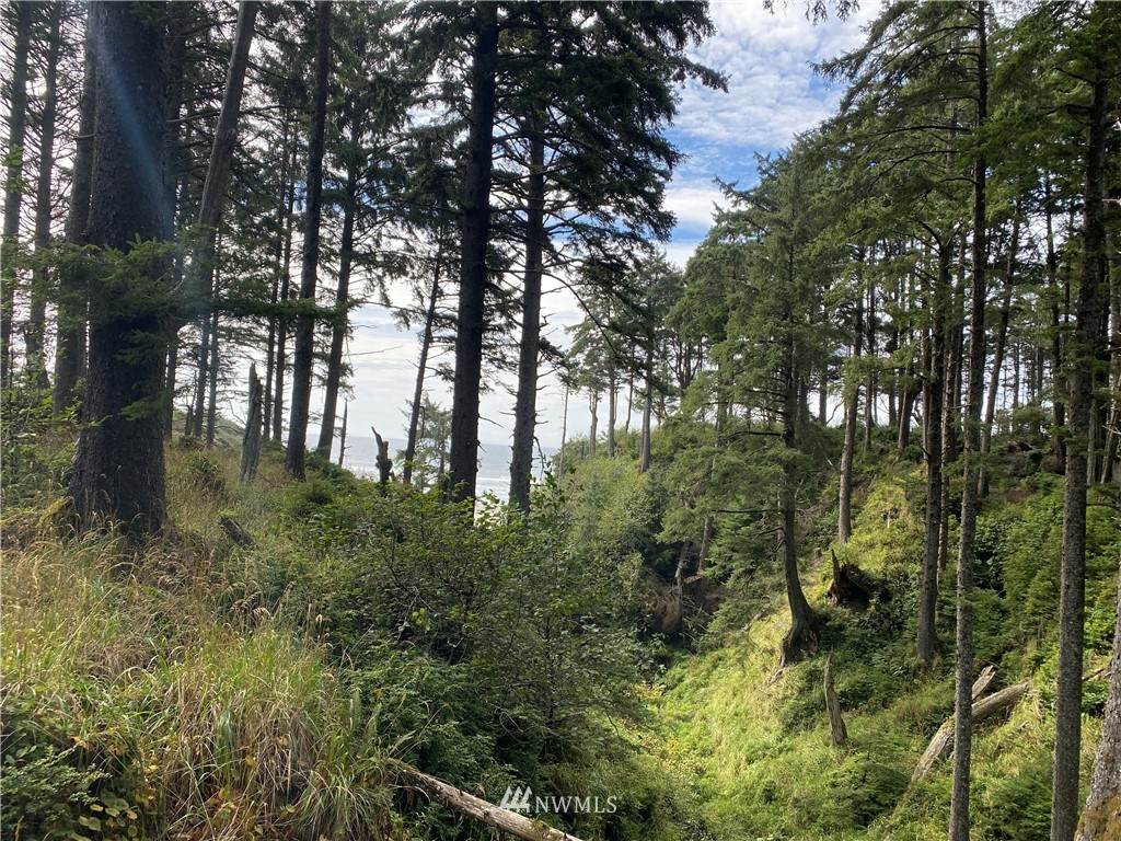 4601 State Route 109 Lane - Photo 1