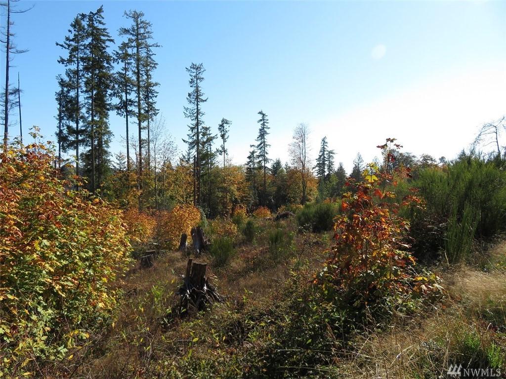 0-XXX Clear Creek Rd - Photo 1