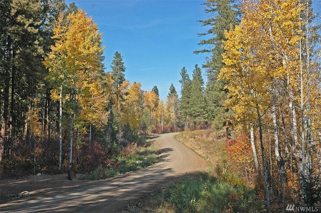 0-LOT 1 Alder Rd - Photo 1