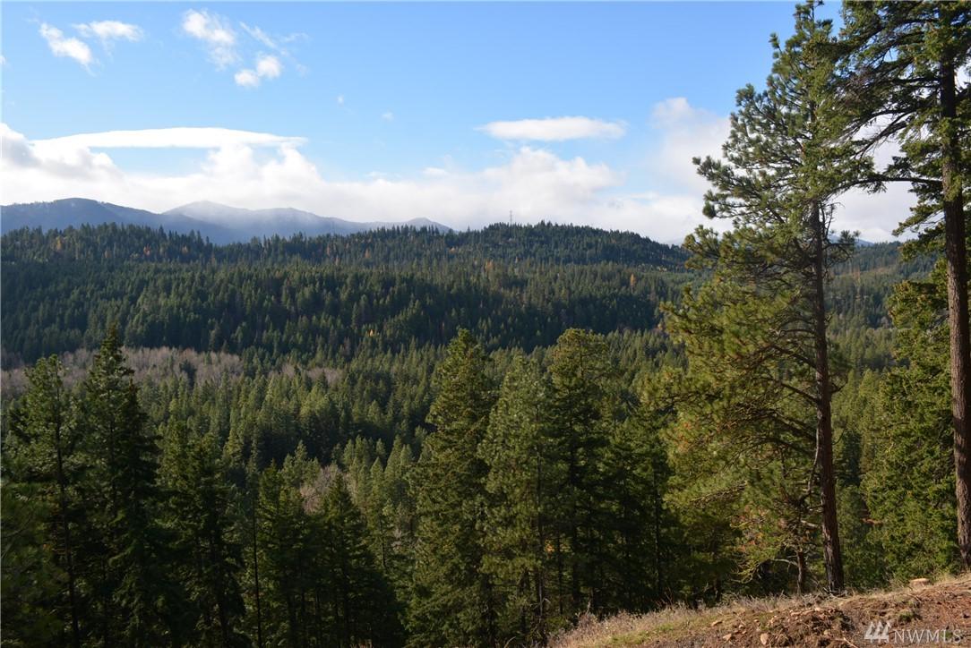 2 Suncadia Trail - Photo 1