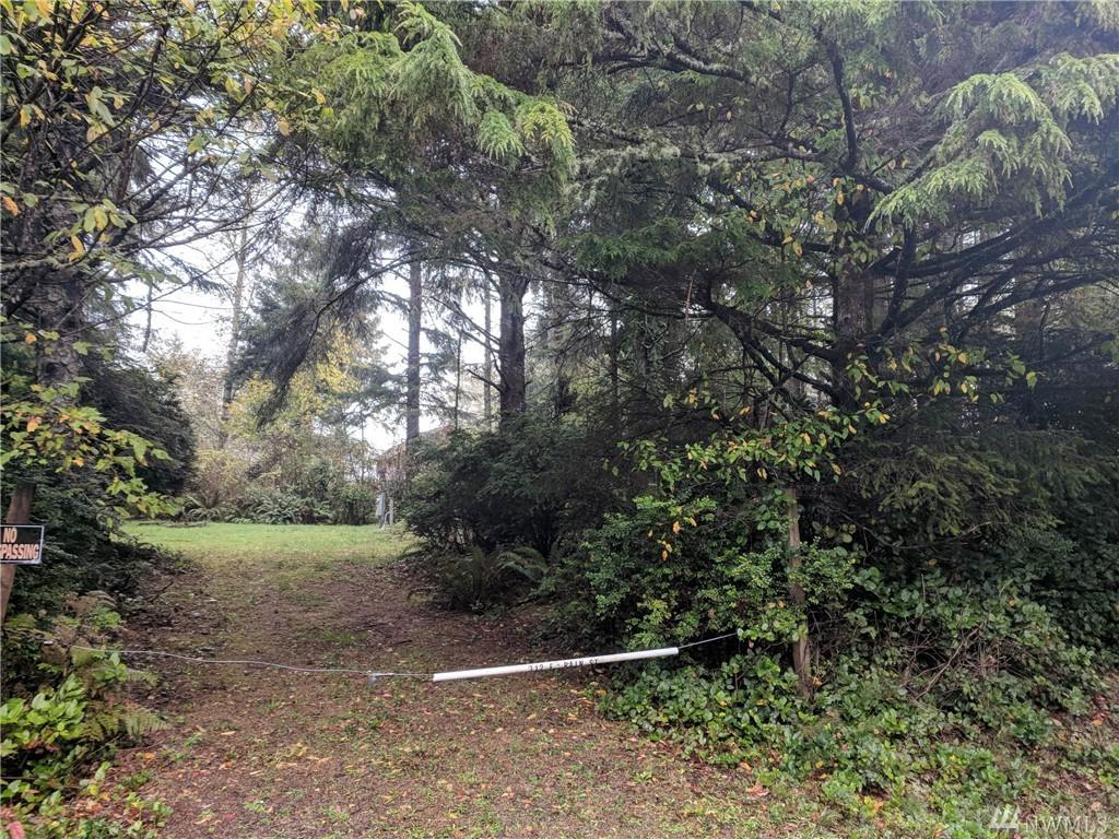 312 Rain St - Photo 1