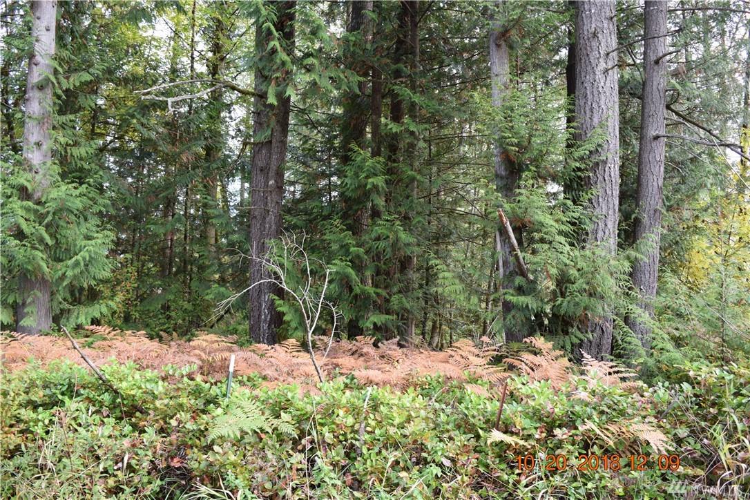 0-Lot 2 Logan Hill Rd - Photo 1