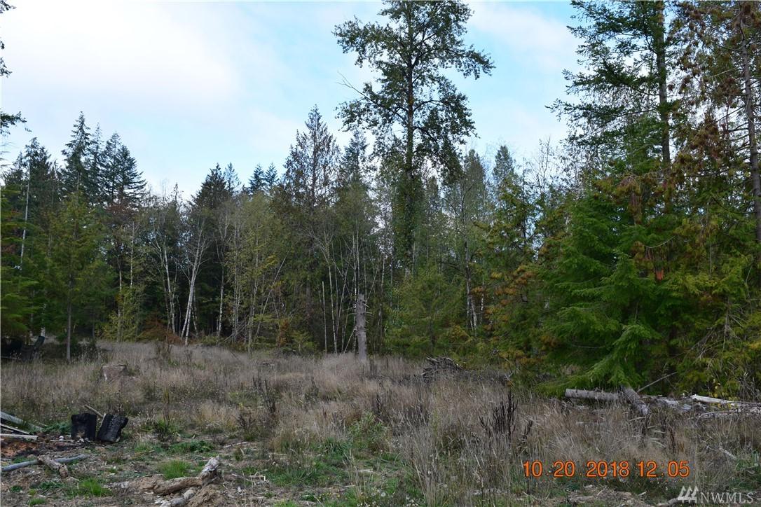 0-Lot 3 Logan Hill Rd - Photo 1