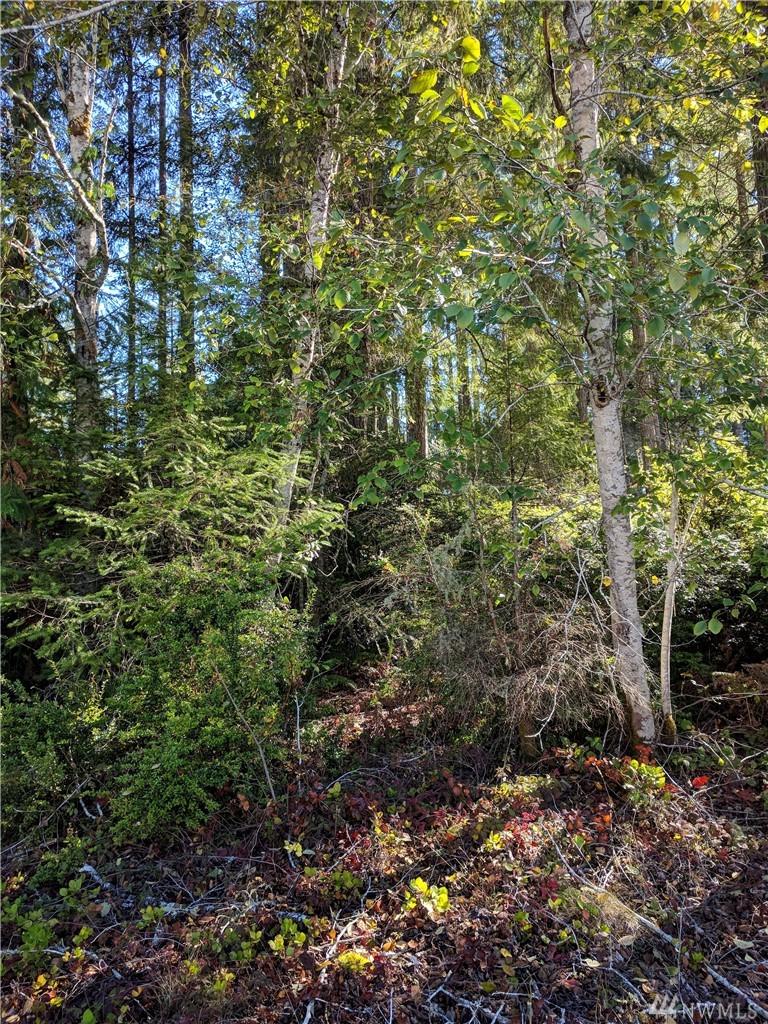 0-xx Hammersley Place - Photo 1