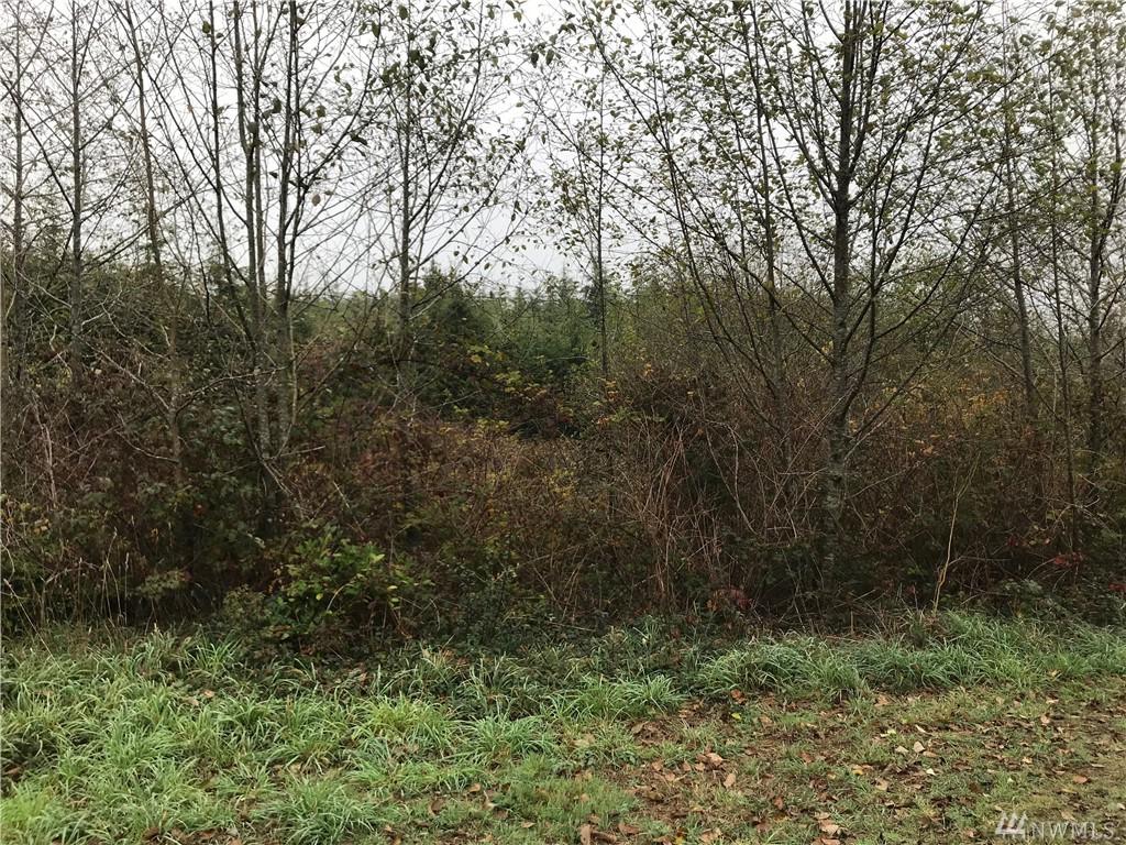 3-Lot Alpine Lane - Photo 1