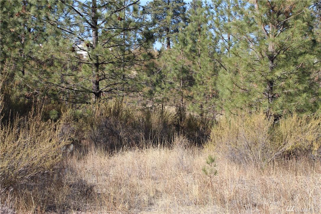 37835 Skyview Ct - Photo 1