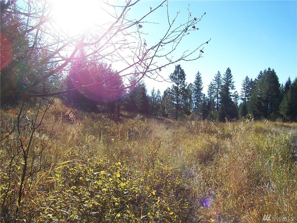 9999 Rose Valley Rd - Photo 1