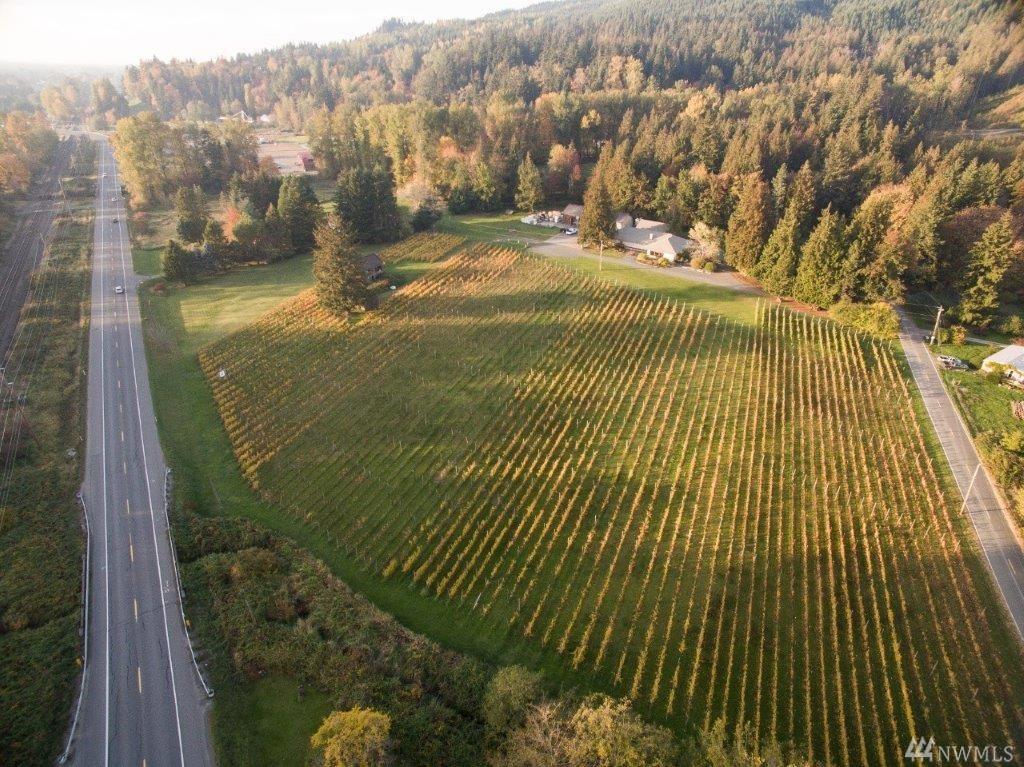 4290 Mt Baker Highway - Photo 1