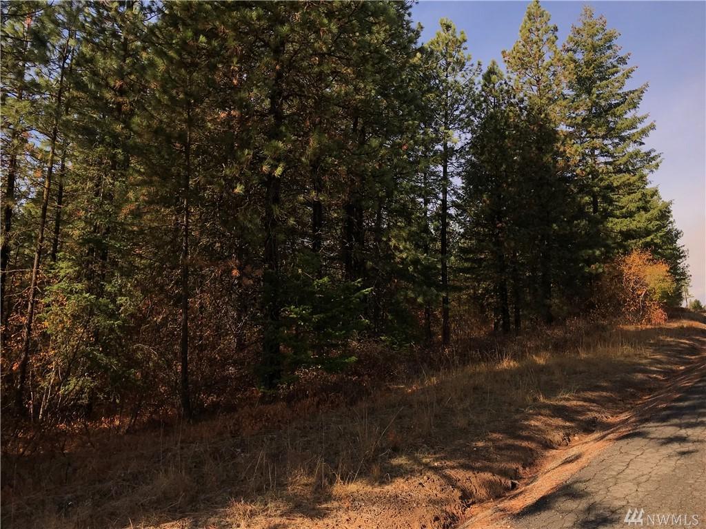 0-Lot C-1 Summit View Rd - Photo 1