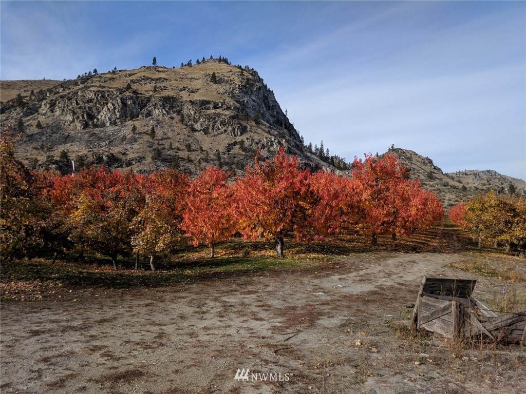 1911 Apple Acres Road - Photo 1