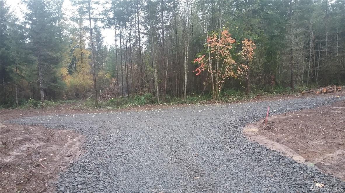 0 Centralia Alpha Rd - Photo 1