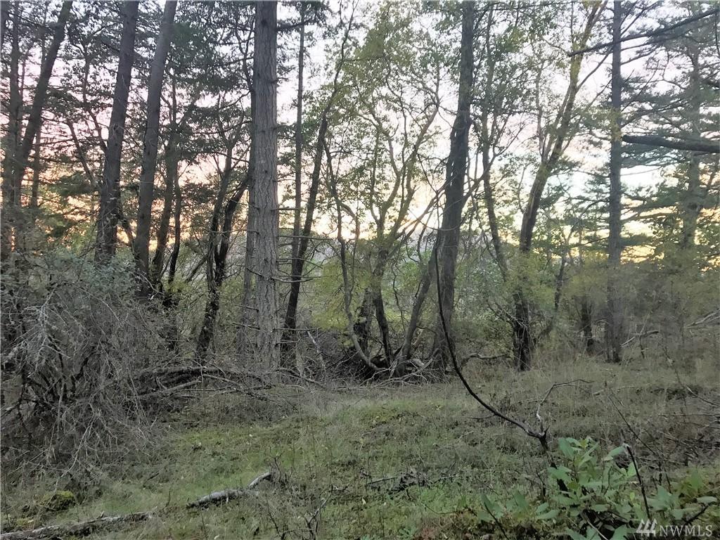 3 Prospect Rd - Photo 1