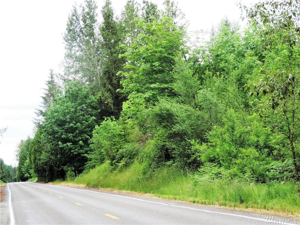 4321 Harts Lake Rd - Photo 1