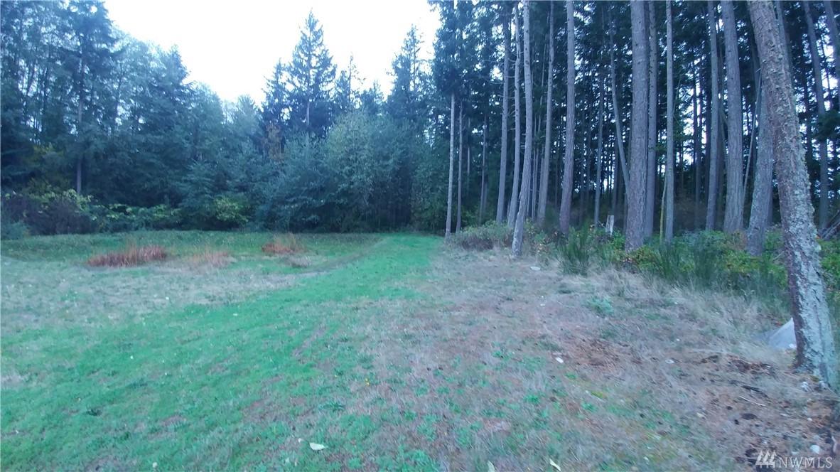 0 Xxx Off Goldie Rd - Photo 1