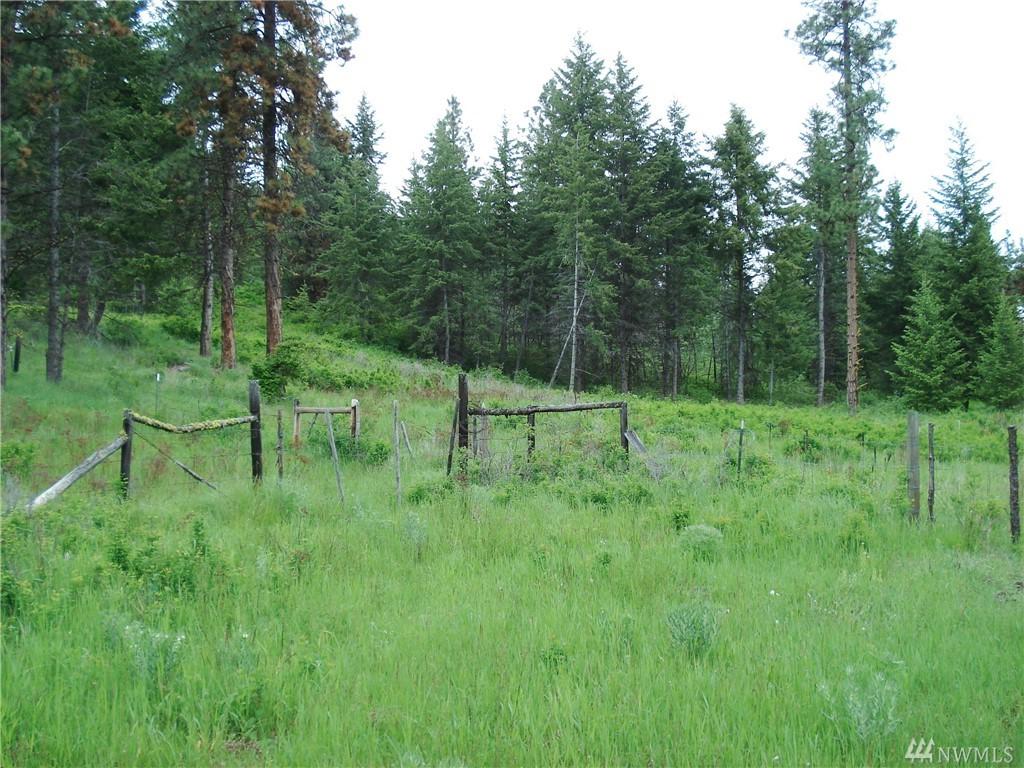 0-TBD Little Vulcan Rd - Photo 1