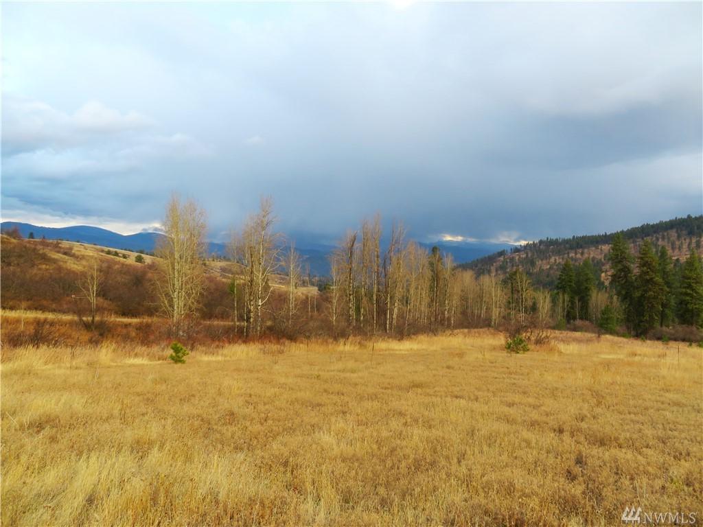 0-TBD Big Goosmus Rd - Photo 1