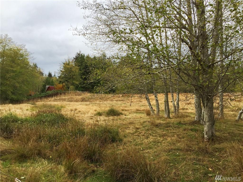 9999 Cain Lane - Photo 1