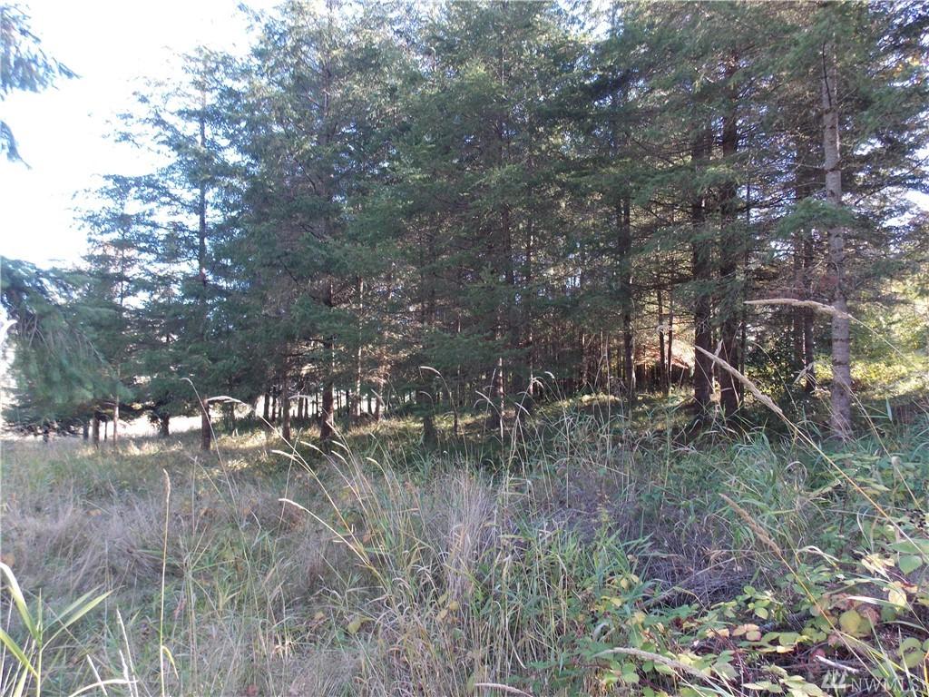 1006 Yakima St - Photo 1