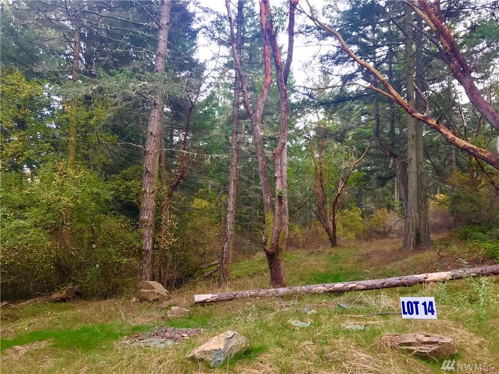 14 Prospect Rd - Photo 1