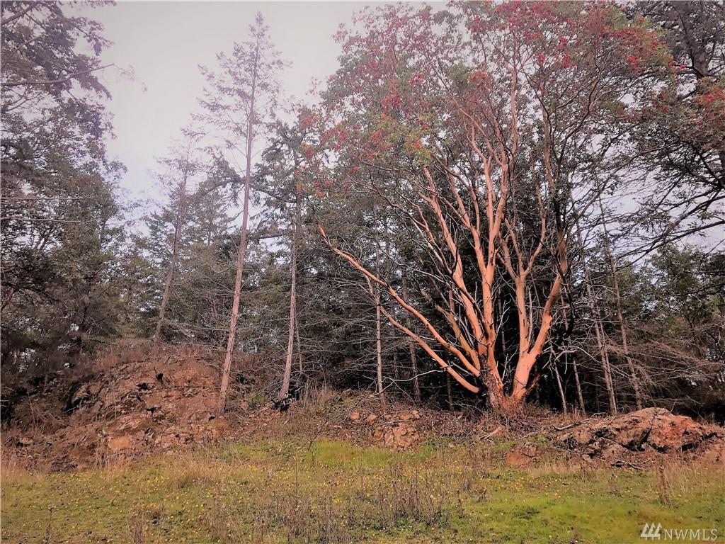 15 Prospect Rd - Photo 1