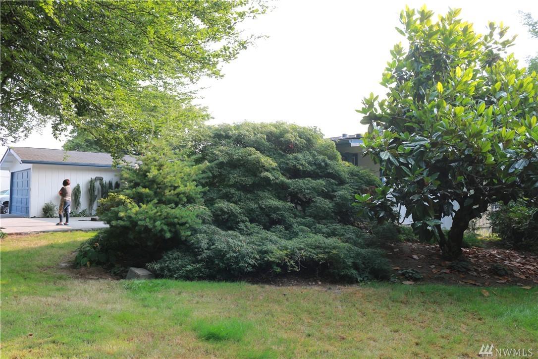 225 Honey Rd - Photo 1
