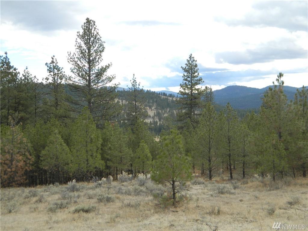 111 Tbd Neil Canyon Rd - Photo 1