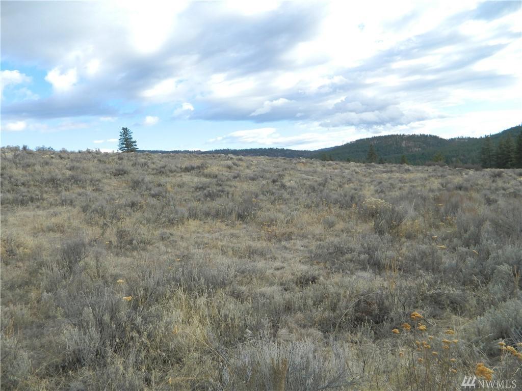 1111 Tbd Neil Canyon Rd - Photo 1