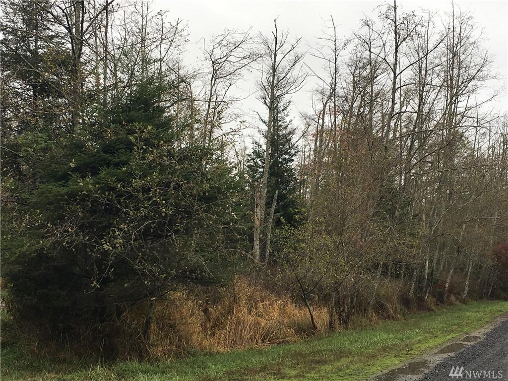 1007 Shipyard Rd - Photo 1