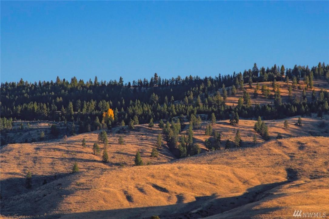 0 Whitley Canyon Rd - Photo 1