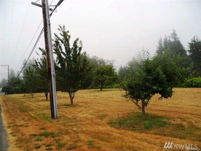 6215 Central Park Dr - Photo 1