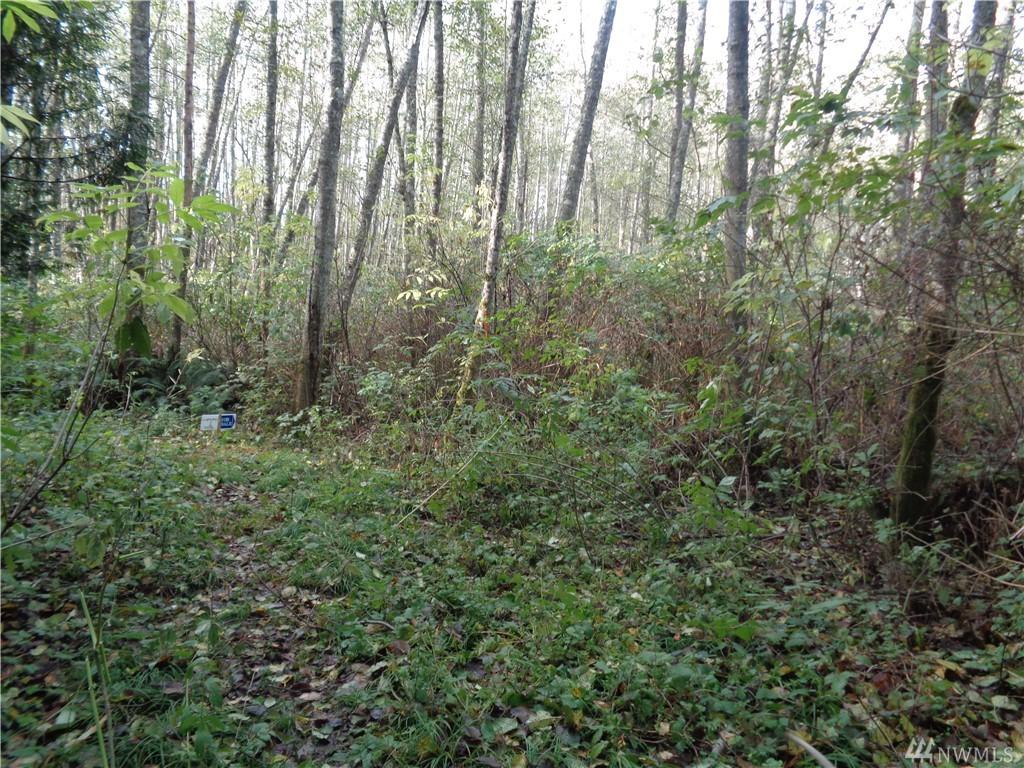 38947 Sherlind Rd - Photo 1