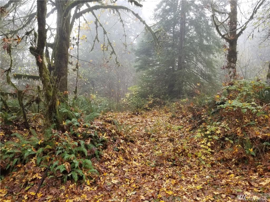 0-XX Reller Rd - Photo 1
