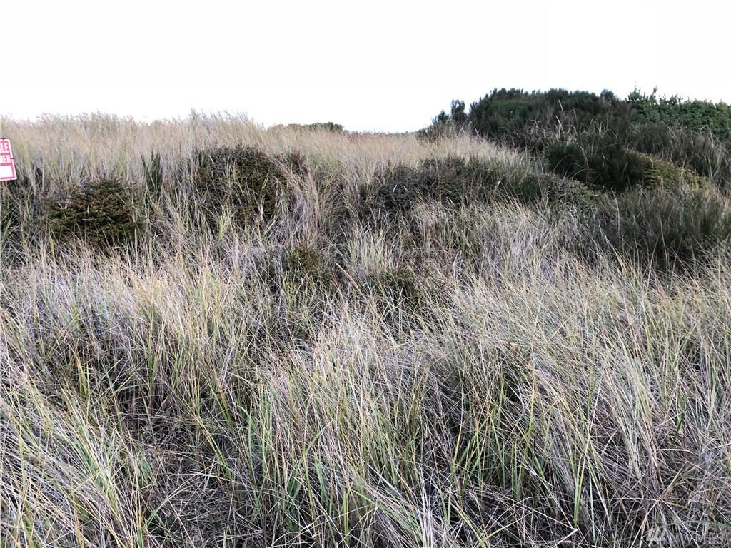 0 Dune Crest Dr - Photo 1