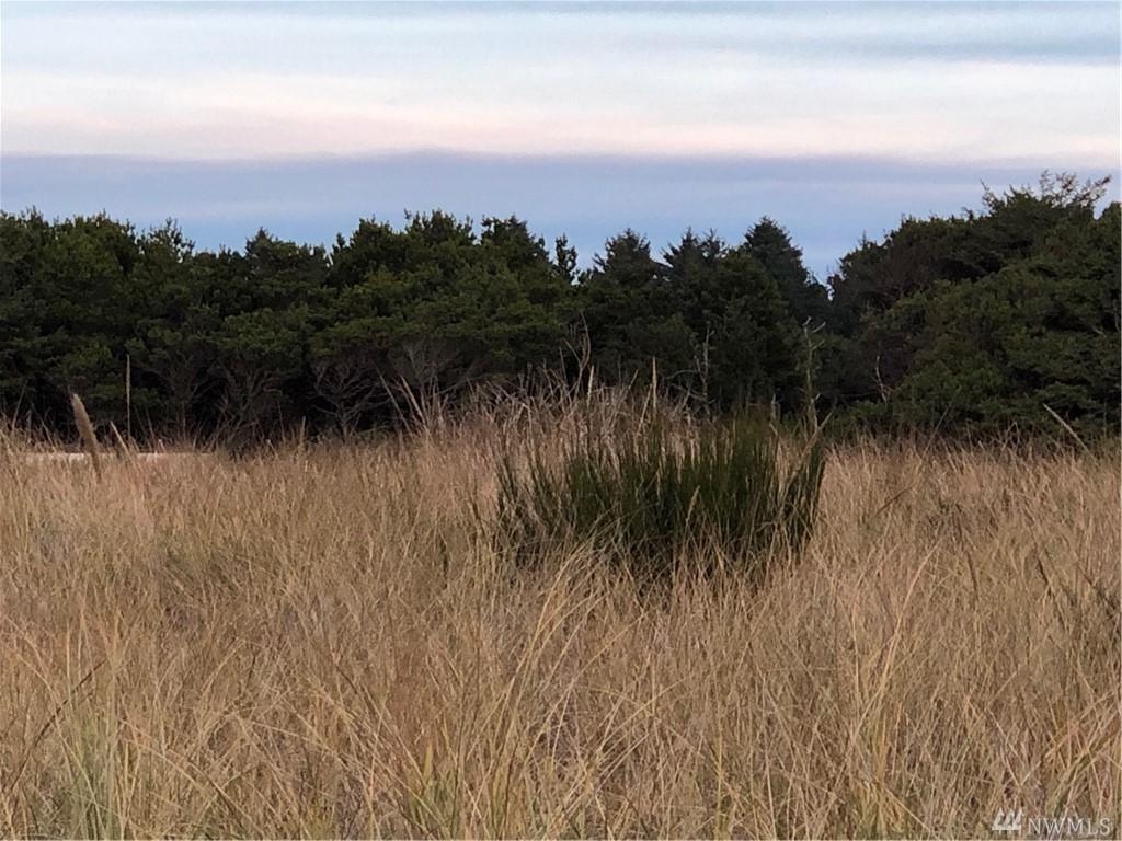 0 Dune Crest Dr - Photo 1