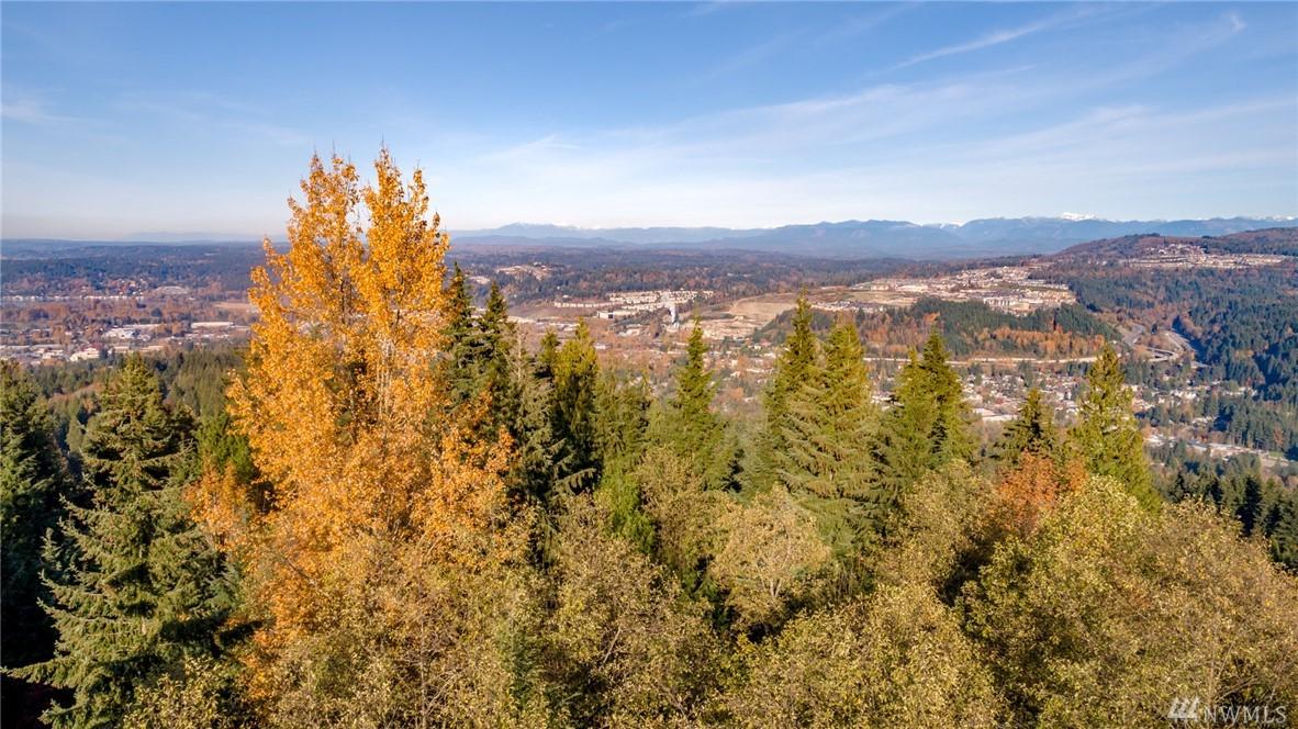 2400 Squak Mountain Lp - Photo 1