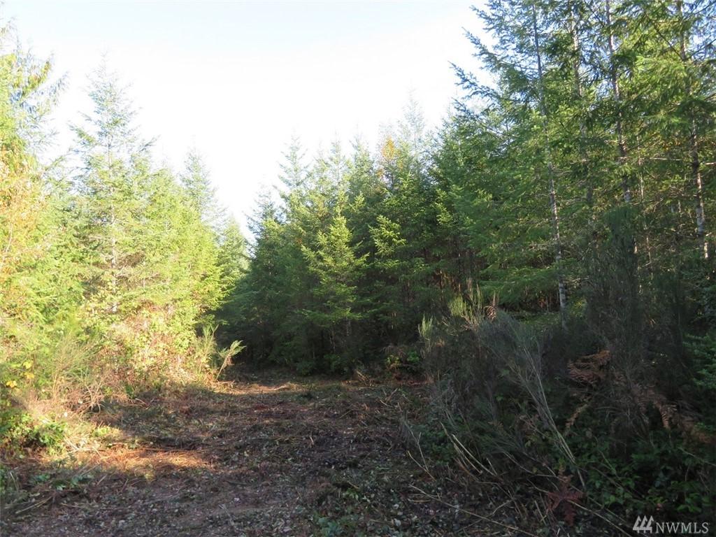 901 Moose Hill Ct - Photo 1